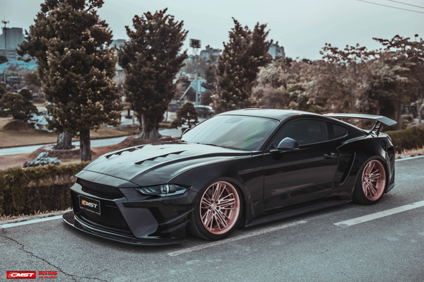 Ford Mustang (6th Gen) Carbon Fiber Body Kits - 3